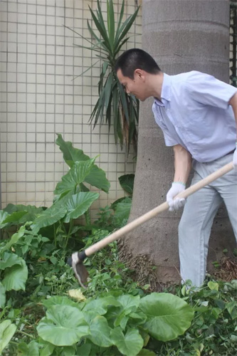 严抓环境卫生|医院志愿者开展清洁卫生大扫除活动