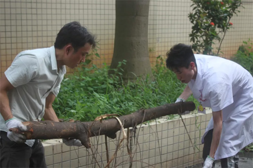 严抓环境卫生|医院志愿者开展清洁卫生大扫除活动